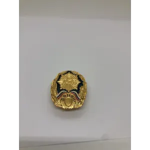 Значок мет ДМБ Домой, синий